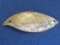 Antique Shell Pin/Brooch with Etched Design – 2 3/4” wide – Good vintage condition