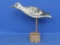 Carved Wood Bird Figurine – Glass Eyes – 10 1/4” wide –10” tall – Hand Painted – Signed