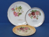 3 Vintage Advertising Plates “Compliments of F.J. Cornwell & Co. Plainview, Minn.”