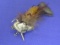 Tyrolean Hat Pin with Feather – Sterling Silver – 2 3/4” long w feather – 3.9 grams