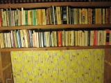 All Books On Shelf – As Shown