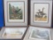 Set of 4 Framed Bird Prints” 2 from Cassell's Poultry Book – 2 by H. Weir
