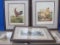 Set of 5 Framed Bird Prints - Poultry – Wood Frames about 14” x 13” - Some wear