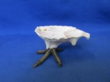 Very Unusual Shell Advertising Dish With Brass Bird Foot  4 ¾”L x 2 ½”H -