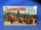 8” x 4” YellowStone National Park Color Productions Post Cards