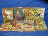 Lot Of 8 Hard Cover Books Lassie – Robin Hood – Tom Sawyer – Treasure Island