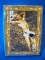 Sealed Never Opened Male Nude Playing Cards