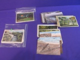 Color Post Cards: 13 Linens, 5 Conservatory, 19 Linen Fergus Falls, 31 Tinted, 6 more