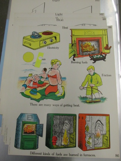 A.J. Nystrom & Co. - Science Teaching Charts (Elementary School) 1960's era 18x 24” each
