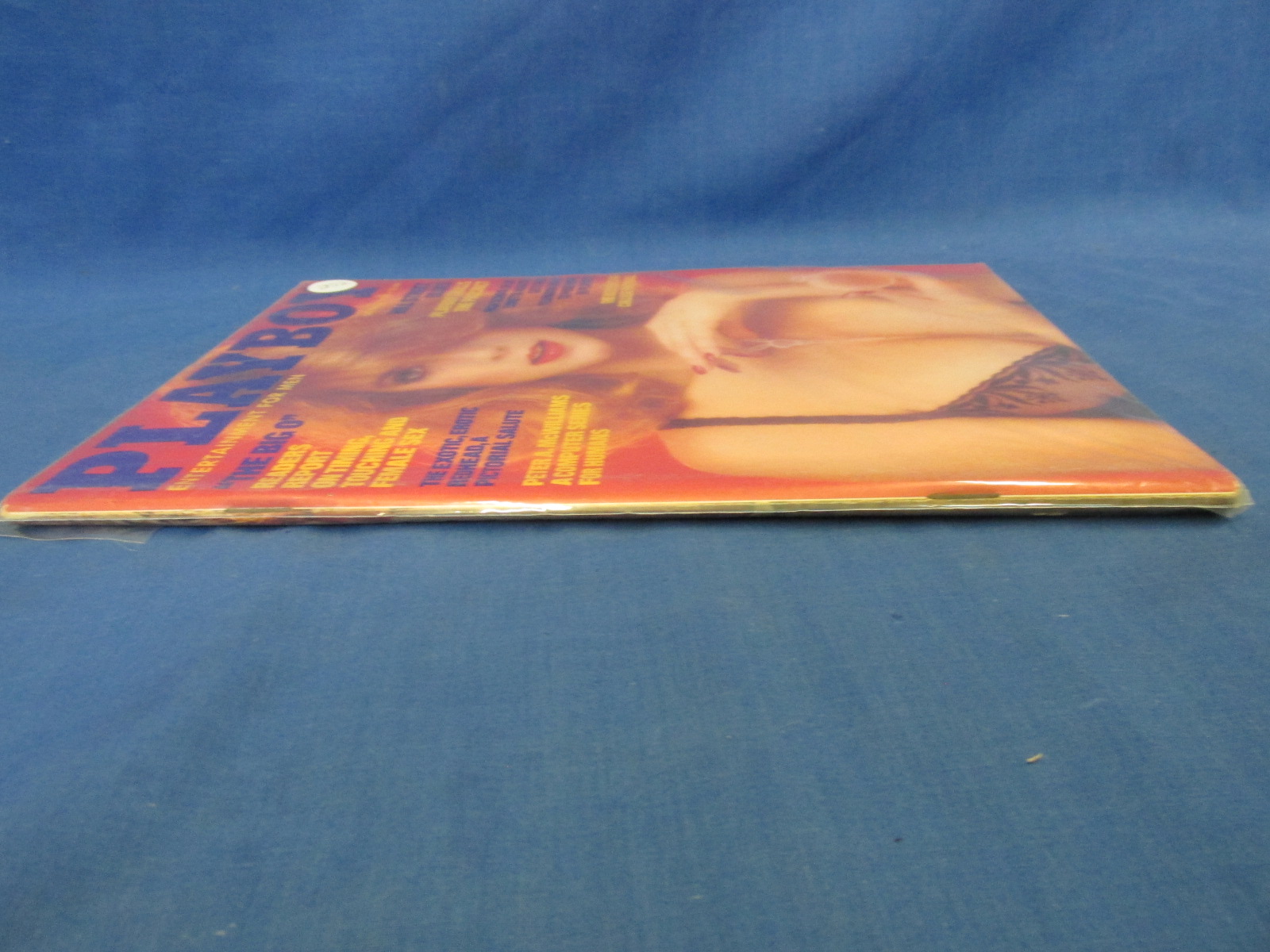 Playboy Magazine November 1983 – Tracy Vaccaro | Proxibid