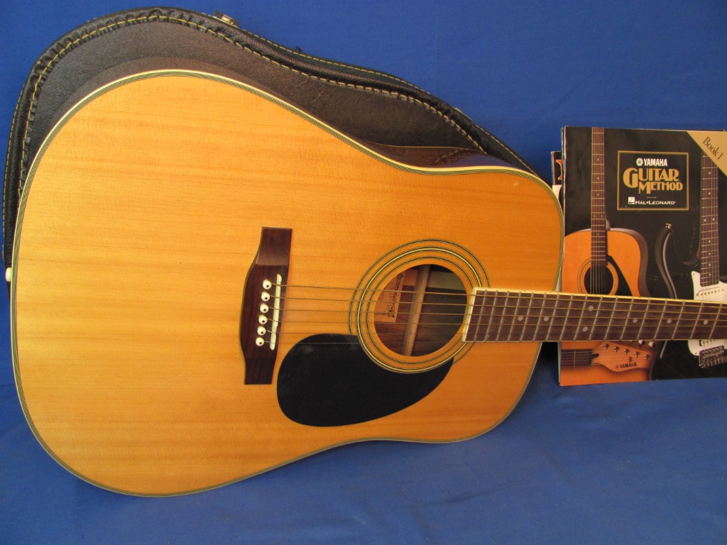 Hohner Professional Acoustic Guitar Model HW720S – Hard Case & 2 Books |  Art, Antiques & Collectibles Collectibles Musical Instruments Guitars &  Basses | Online Auctions | Proxibid