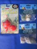 Hermit Crab Shells: 2 Pack Neon,  and 2 3- Packs of Medium Shells