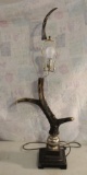 Antler Lamp in Good Working Condition Measures 40 1/2