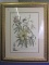 Framed Botanical Print – 38” T x 29” W – “Ketmia”, “Iris”, “Alsine” & 2 Moths