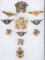WWII NAVY & NAVAL AVIATON WINGS & INSIGNIA LOT 11