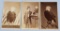 LOT OF 3 CDV 'S 8TH WISCONSON OLD ABE EAGLE