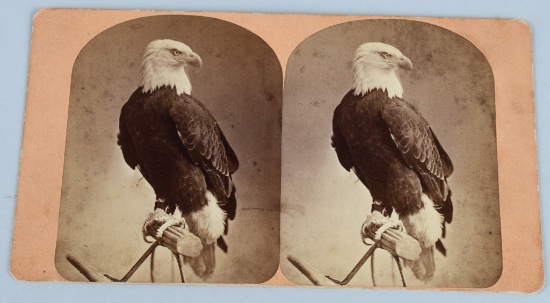 CIVIL WAR OLD ABE STEREOVIEW 8TH WISCONSIN REGT.