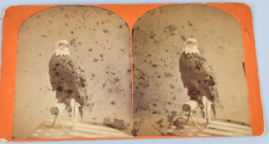 CIVIL WAR OLD ABE STEREOVIEW 8TH WISCONSIN REGT.