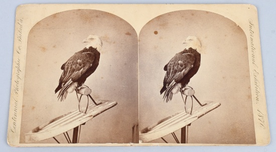 CIVIL WAR OLD ABE STEREOVIEW 8TH WISCONSIN REGT.