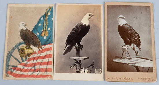 LOT OF 3 CDV 'S 8TH WISCONSON OLD ABE EAGLE