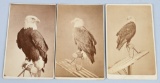 LOT OF 3 CDV 'S 8TH WISCONSON OLD ABE