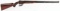 HOLLIS & SONS 577/450 No 2 CASE EXPRESS RIFLE