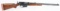 REMINGTON MODEL 81 CALIBER .300 SAVAGE