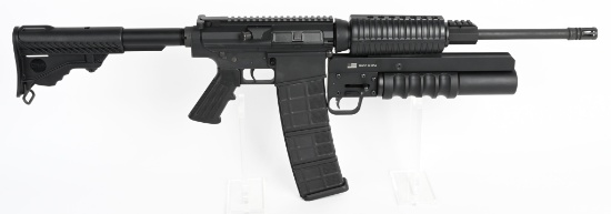 DPMS MODEL LR-308 SEMI AUTO RIFLE & 37mm LAUNCHER