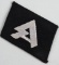 WWII NAZI GERMAN HORST WESSEL COLLAR TAB WW2