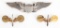 WWII US ARMY PILOT WING & COLLAR ANGUS & COOTE WW2