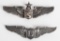 WWII LIAISON SENIOR SERVICE PILOT WING LOT WW2
