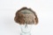 WWII NAZI GERMAN HEER WINTER FUR CAP WW2