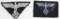 WWII NAZI TENO INSIGNIA LOT CAP SLEEVE EAGLE WW2