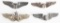 WWII PILOT SENIOR OBSERVER PILOT WING LOT OF 4 WW2