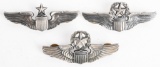 WWII COMMAND PILOT SENIOR PILOT WING LOT WW2