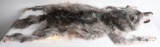 DRESSED GRAY WOLF PELT WITH HEAD