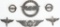 CAA PILOT WAR TRAINING SERVICE WINGS & INSIGNIA