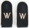 WW2 NAZI GERMAN WAFFEN SS WESTLAND INFANTRY BOARDS