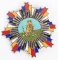 CHINESE ORDER OF THE STRIPED TIGER BREAST BADGE  I