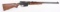 REMINGTON MODEL 81 SEMI AUTO RIFLE