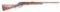 WINCHESTER MODEL 1876 BIG FIFTY EXPRESS RIFLE