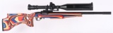 CUSTOM RUGER 10-22 SEMI AUTO RIFLE