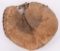 DESIREABLE WINCHESTER CATCHERS MITT