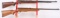LOT (2) SEMI AUTO 22 RIFLES
