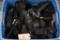 LOT (60) POLICE CONCEAL CARRY HOLSTERS
