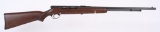 SAVAGE SEMI AUTO .22 RIFLE