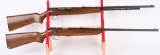 LOT (2) REMINGTON 22 CAL RIFLES