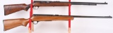 LOT (2) SEMI AUTO 22 RIFLES