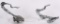 2- PACKARD HOOD ORNAMNETS