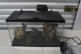 Fish Tank with filter & accessories